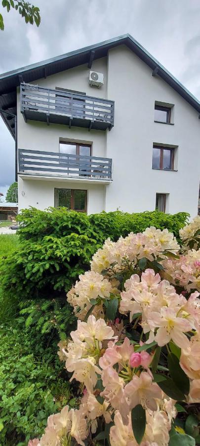 Apartamenty Montania Wisła Εξωτερικό φωτογραφία